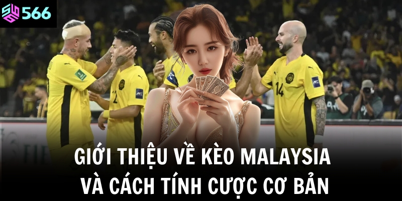 Giới thiệu về kèo Malaysia và cách tính cược cơ bản